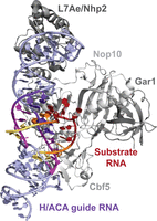 FIGURE 5.