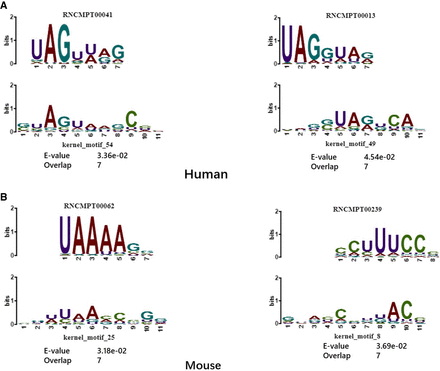 FIGURE 4.