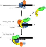 FIGURE 7.