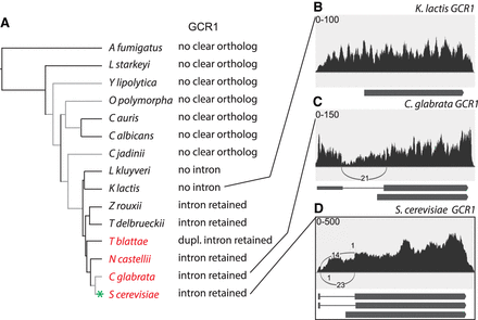 FIGURE 10.