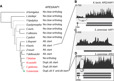 FIGURE 11.
