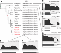 FIGURE 2.
