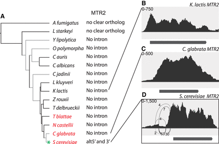 FIGURE 9.