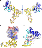 FIGURE 6.