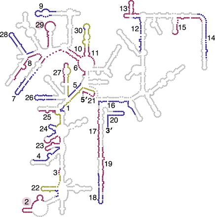 FIGURE 2.