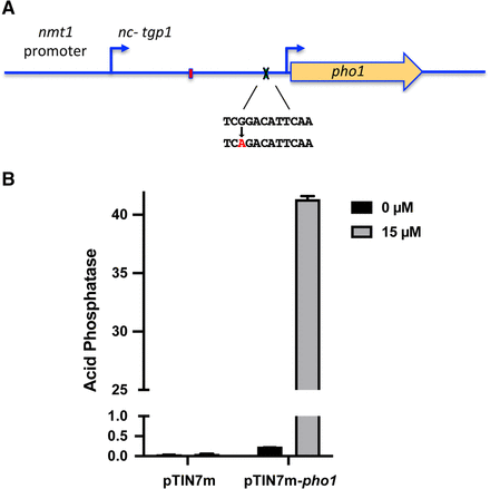 FIGURE 4.