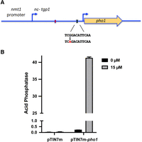 FIGURE 4.