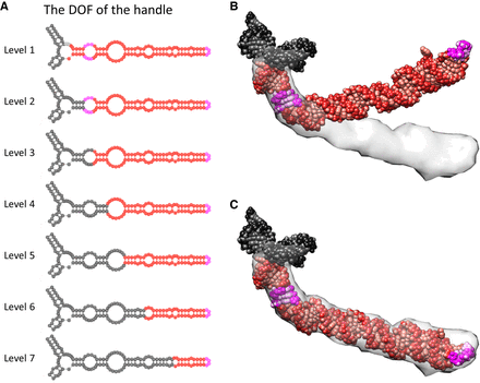 FIGURE 3.