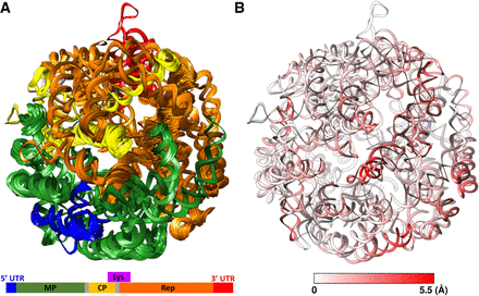 FIGURE 5.