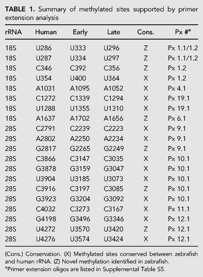 TABLE 1.