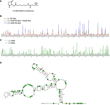 FIGURE 4.