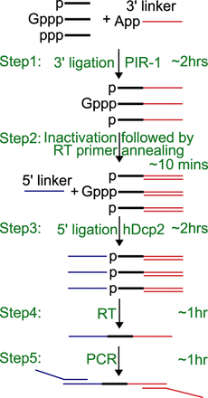 FIGURE 2.