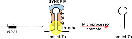 FIGURE 7.