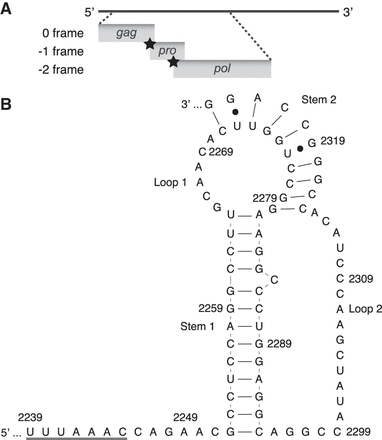 FIGURE 1.
