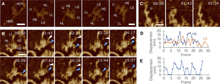 FIGURE 3.
