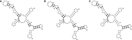 FIGURE 7.