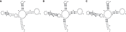 FIGURE 8.