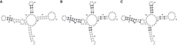 FIGURE 8.