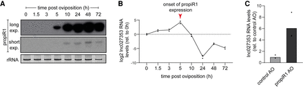 FIGURE 7.