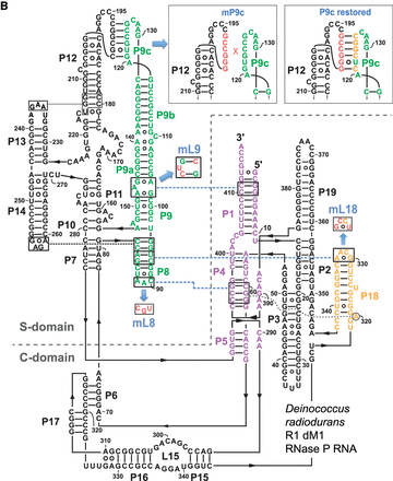 FIGURE 1.