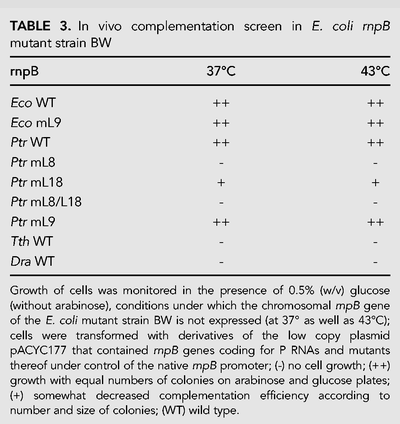 TABLE 3.