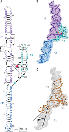 FIGURE 1.