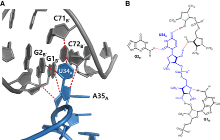 FIGURE 3.