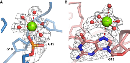 FIGURE 5.