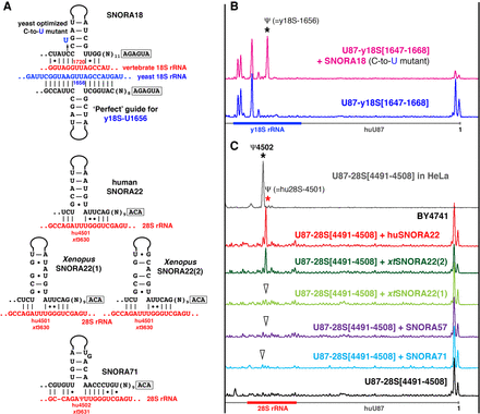 FIGURE 2.
