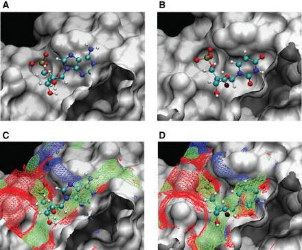 FIGURE 1.