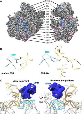 FIGURE 2.