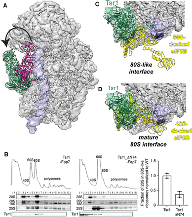 FIGURE 4.
