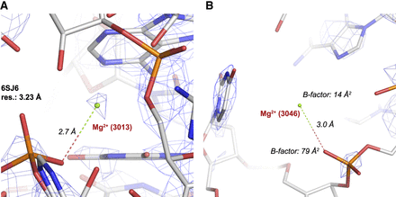 FIGURE 5.