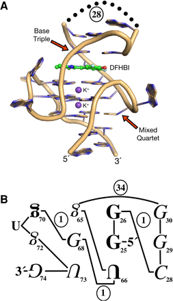 FIGURE 4.