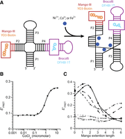 FIGURE 4.