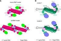 FIGURE 1.