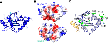 FIGURE 10.