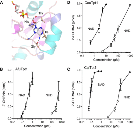 FIGURE 4.
