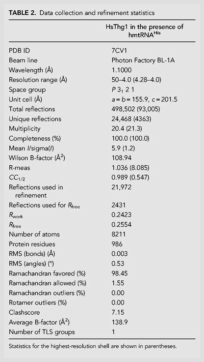 TABLE 2.