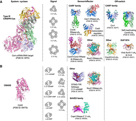 FIGURE 4.