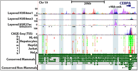 FIGURE 1.