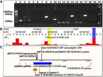 FIGURE 3.