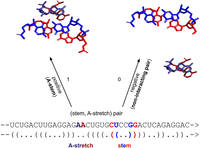 FIGURE 10.