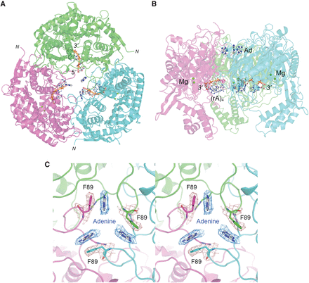 FIGURE 2.