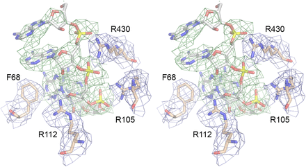 FIGURE 3.