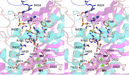 FIGURE 4.