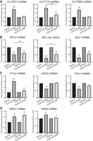 FIGURE 7.