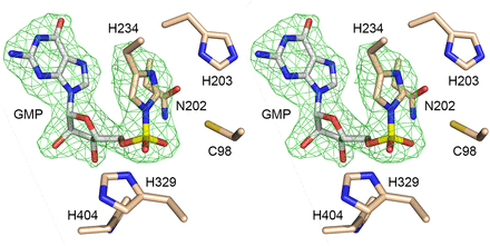 FIGURE 4.