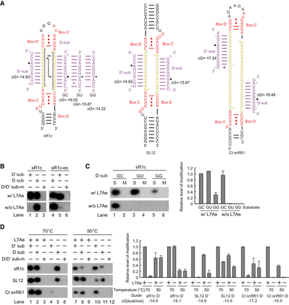 FIGURE 4.