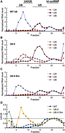 FIGURE 5.